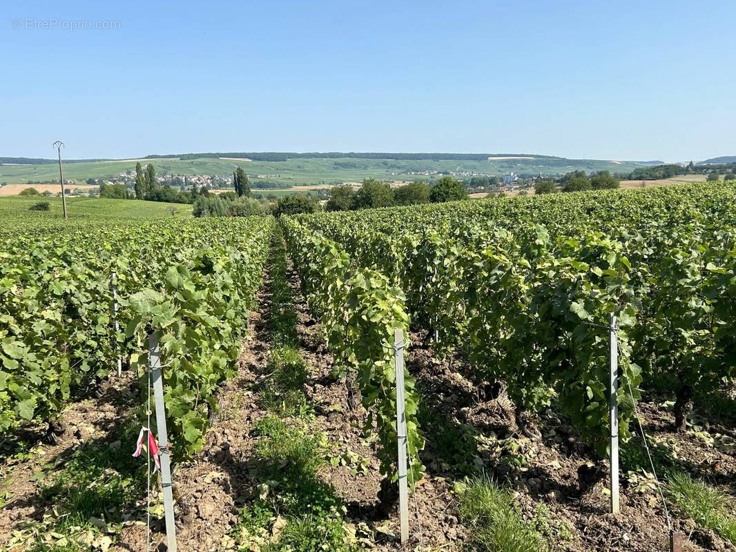 Terrain à TROISSY