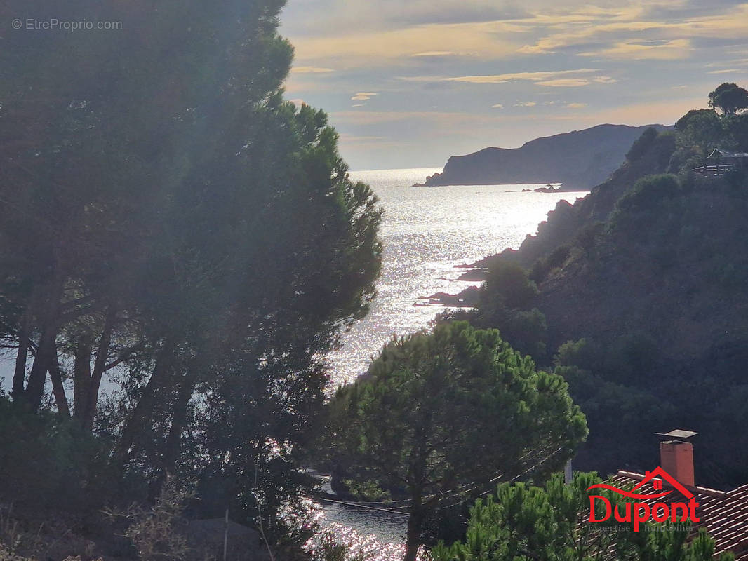 Appartement à BANYULS-SUR-MER