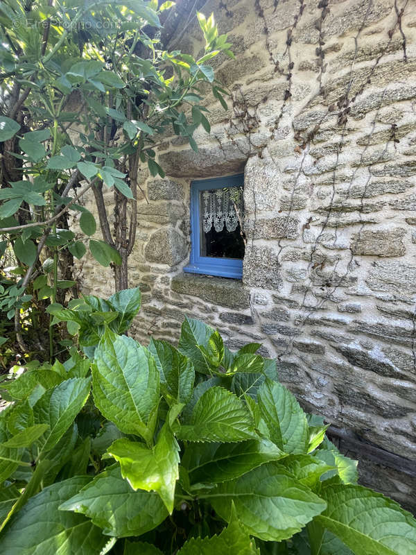 Maison à GUERANDE