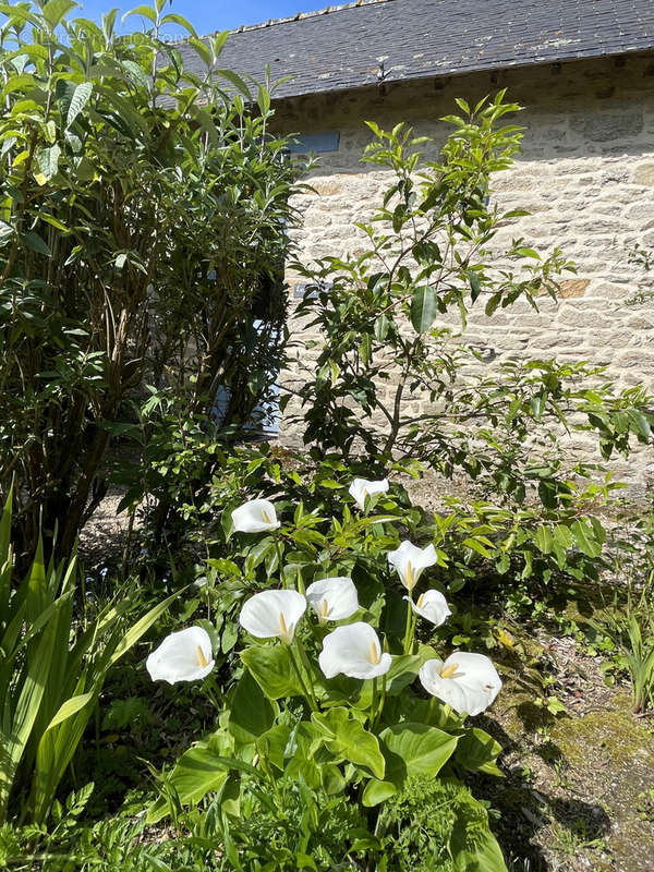 Maison à GUERANDE