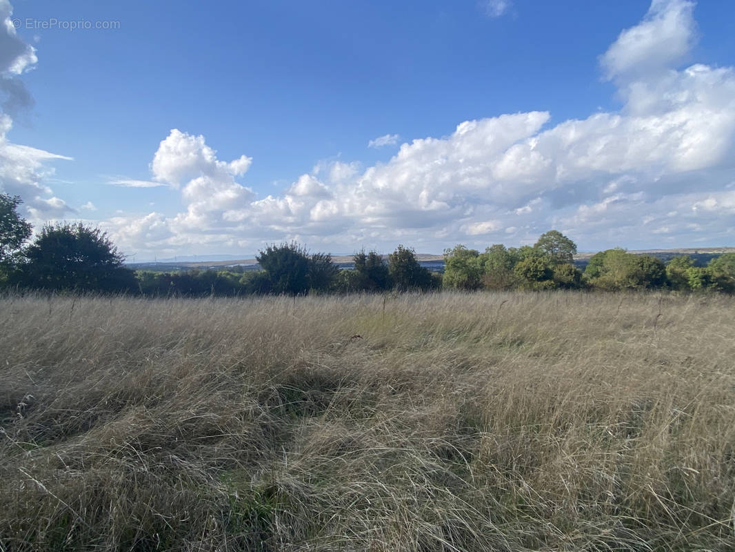 Terrain à LA CAVALERIE