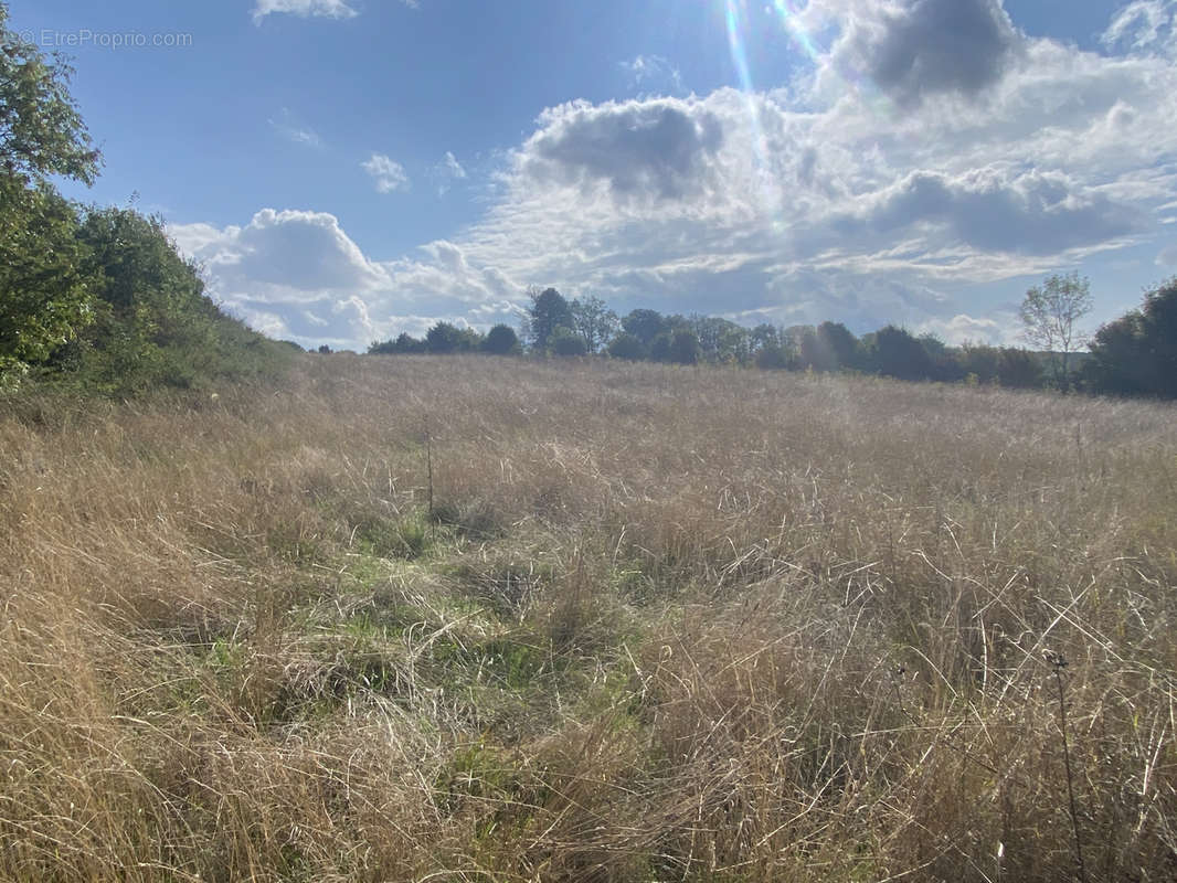 Terrain à LA CAVALERIE