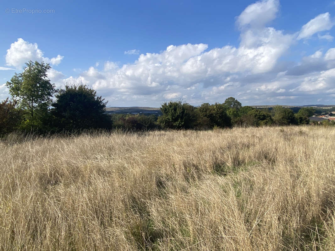 Terrain à LA CAVALERIE