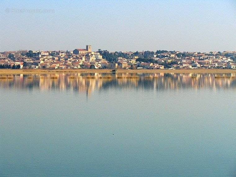 Terrain à VENDRES