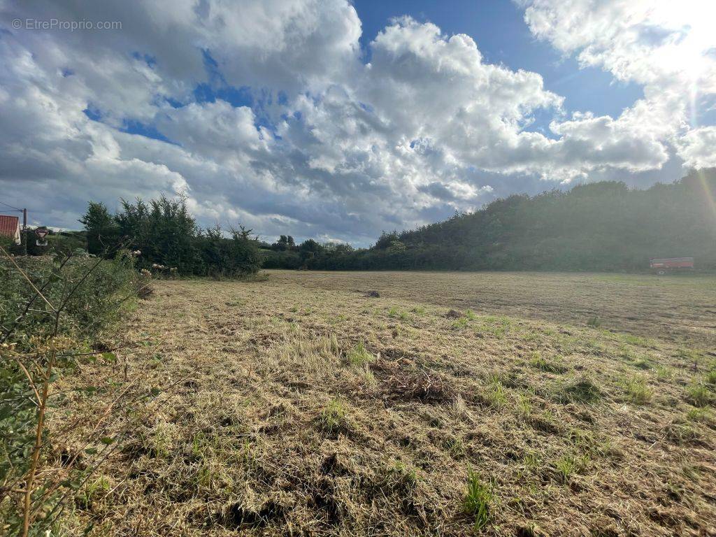 Terrain à CAFFIERS