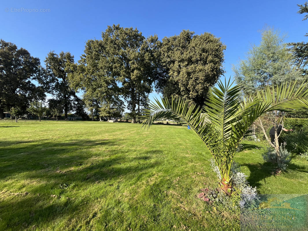 Terrain à SAINT-MARTIN