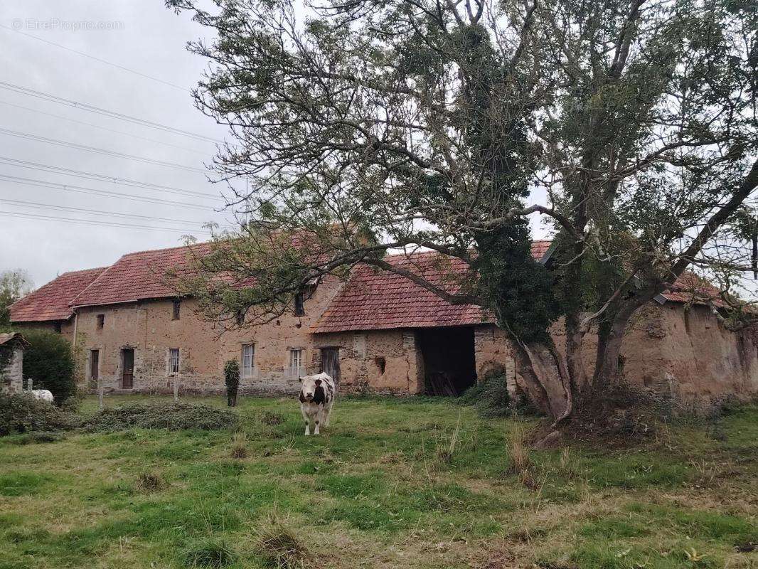 Maison à MARCHESIEUX