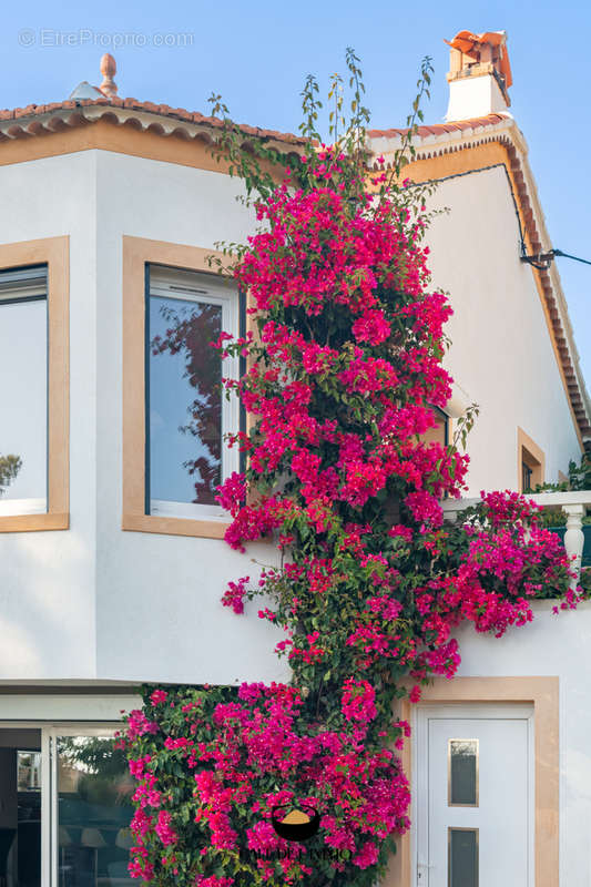 Maison à BANDOL