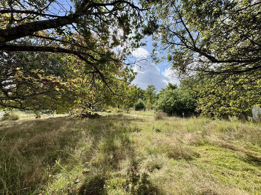 Terrain à PESSAC