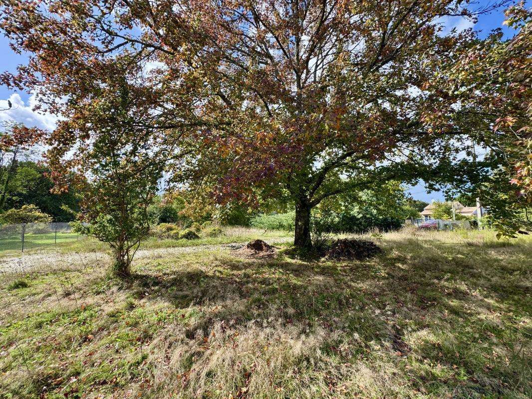 Terrain à PESSAC