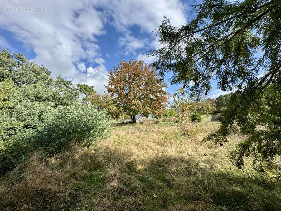 Terrain à PESSAC