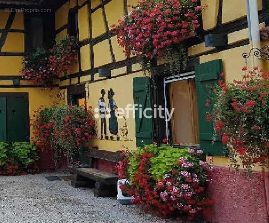 Maison à ANDOLSHEIM