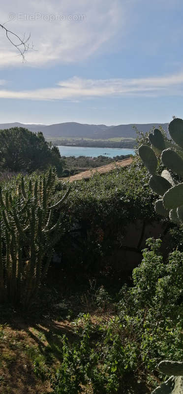 Maison à PORTO-VECCHIO