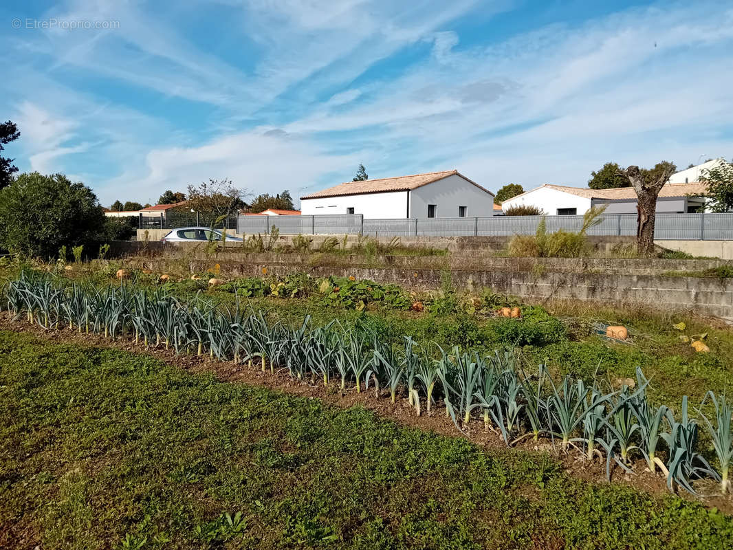 Maison à CHAUCHE