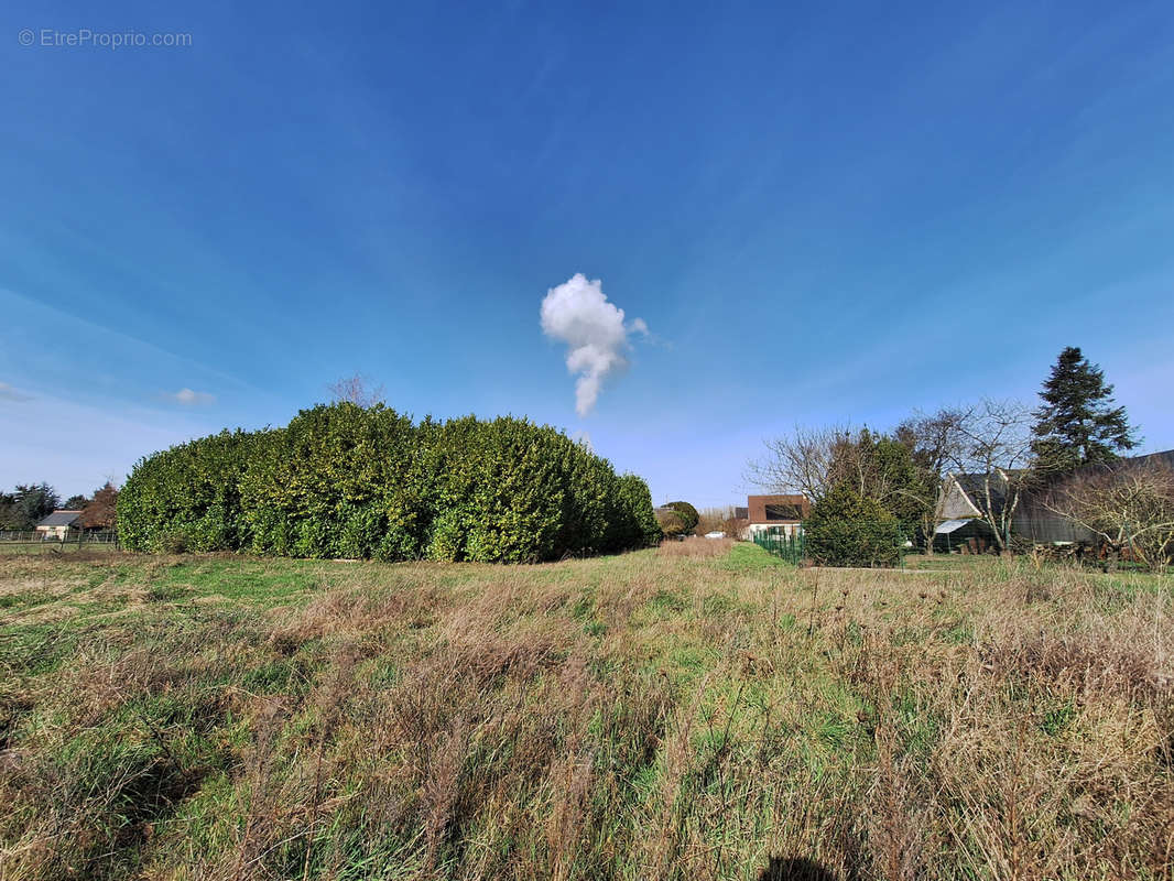 Terrain à BEAUMONT-EN-VERON