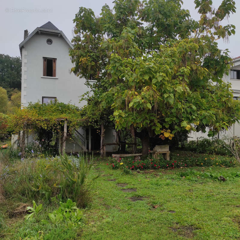 Maison à PERIGUEUX