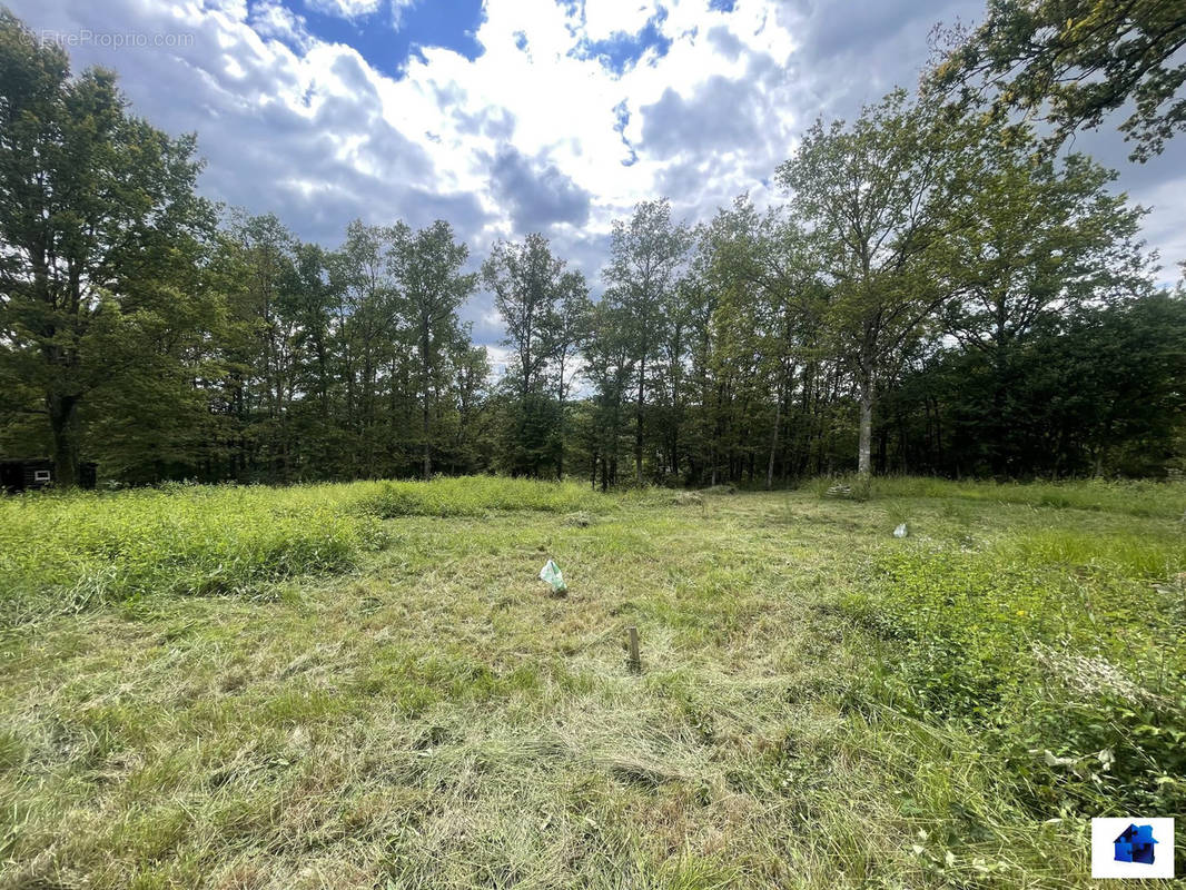 Terrain à MONTBOUY