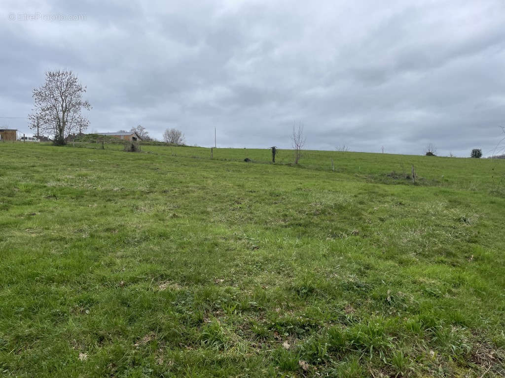 Terrain à CHABRIGNAC