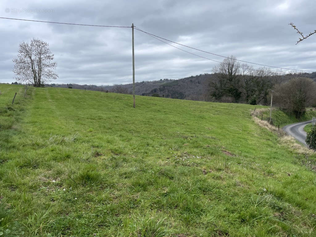 Terrain à CHABRIGNAC