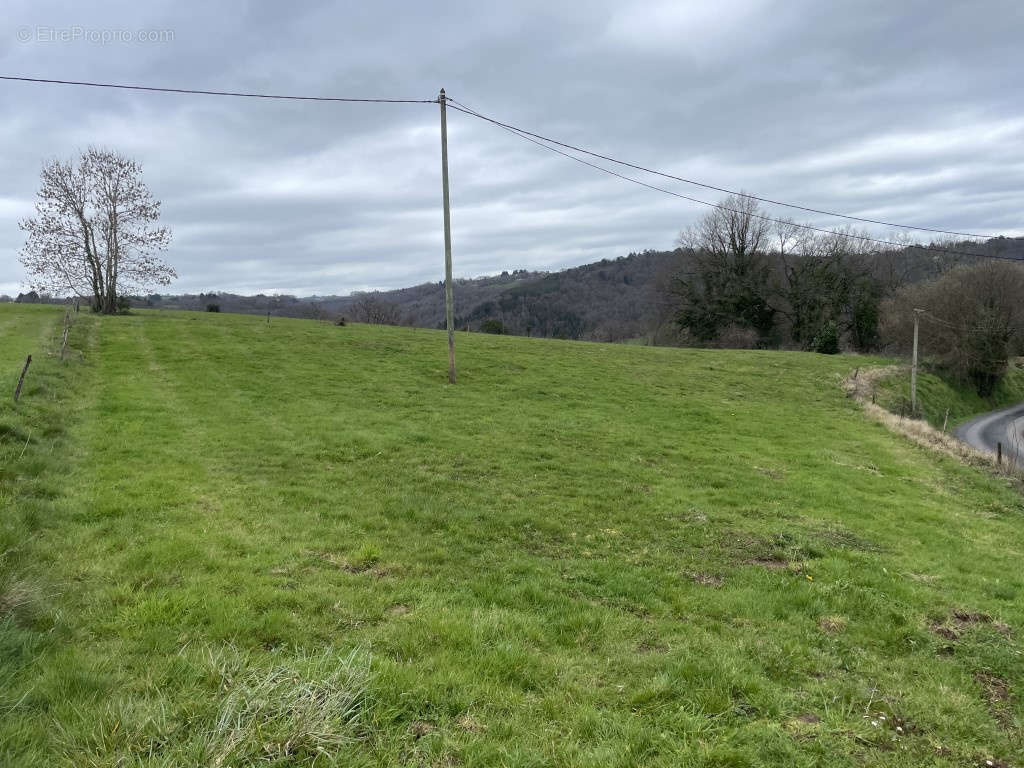 Terrain à CHABRIGNAC