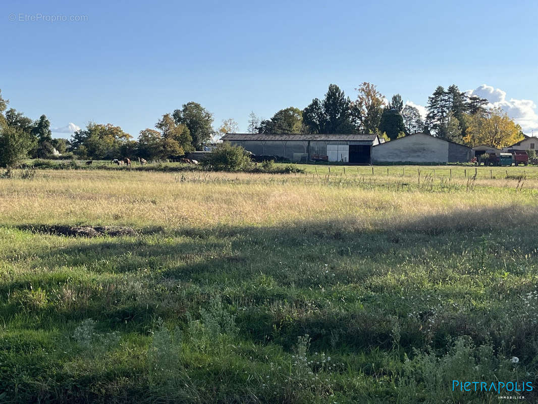 Terrain à MARLIEUX