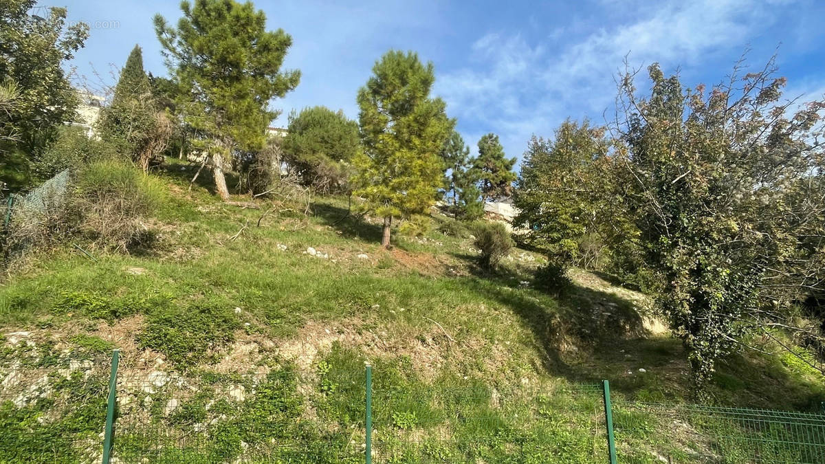 Terrain à ASPREMONT