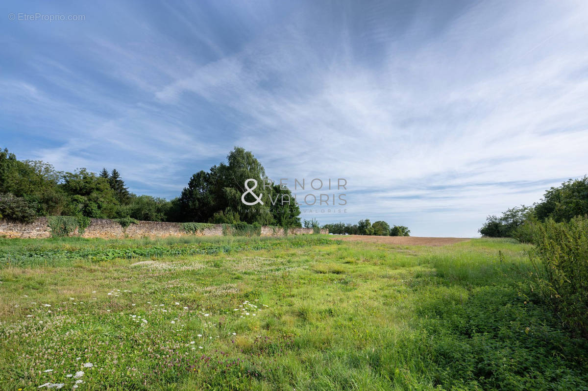 Terrain à BOUXIERES-AUX-CHENES