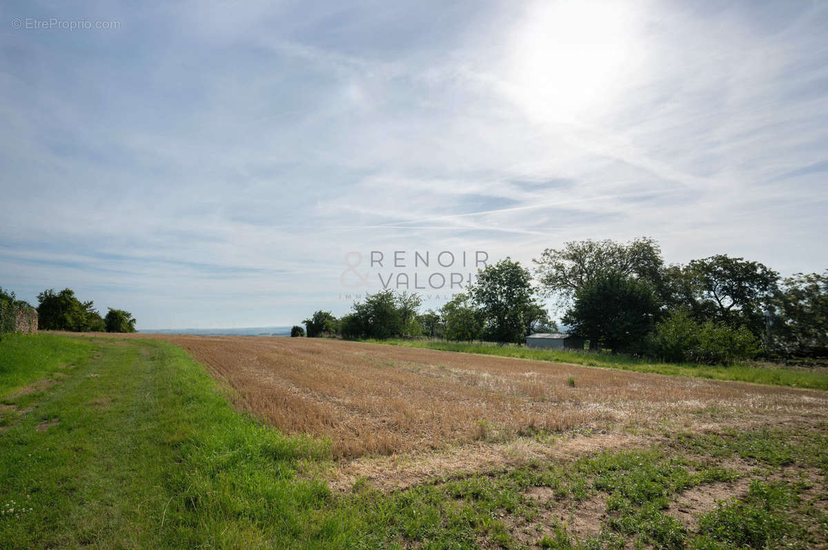 Terrain à BOUXIERES-AUX-CHENES