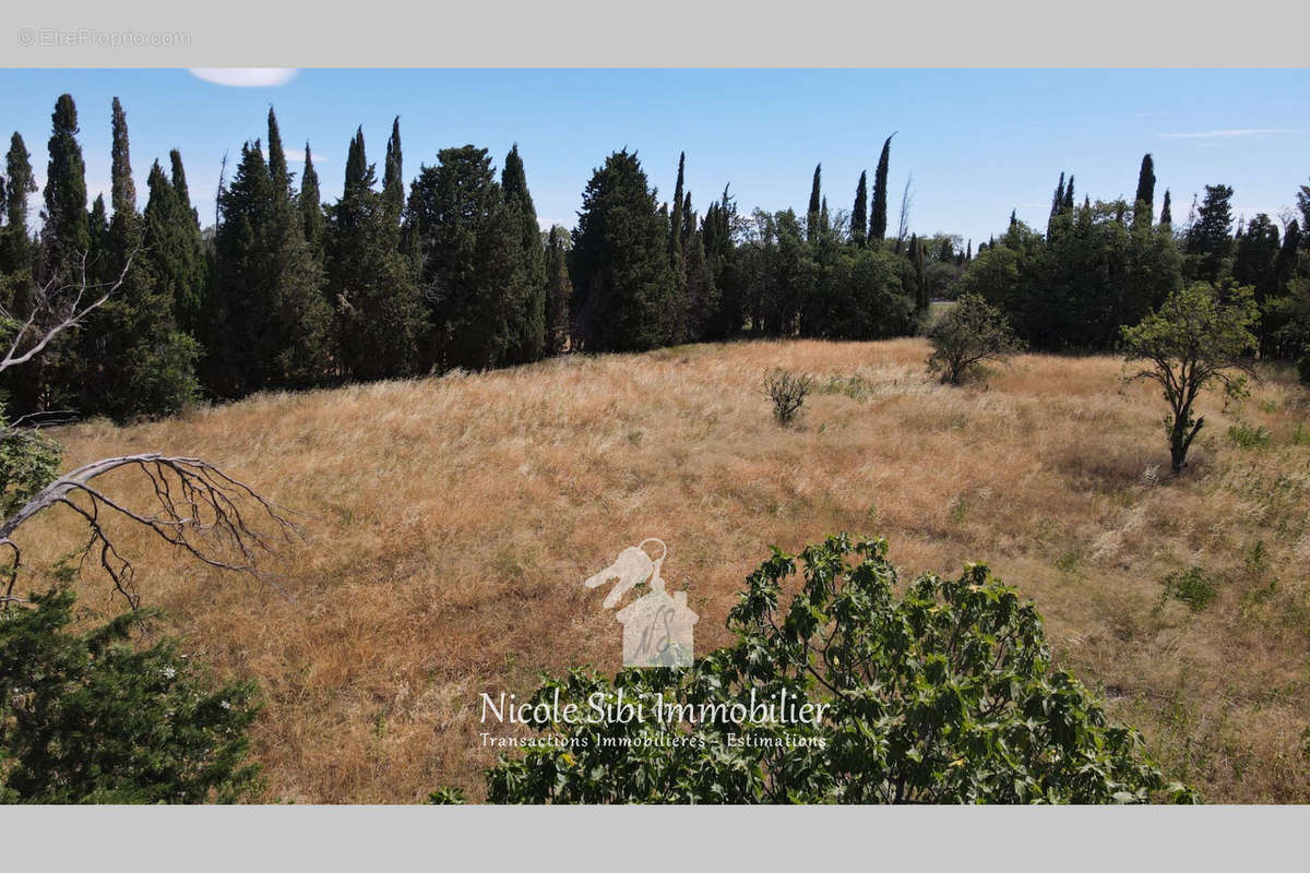 Terrain à SAINT-FELIU-D&#039;AVALL