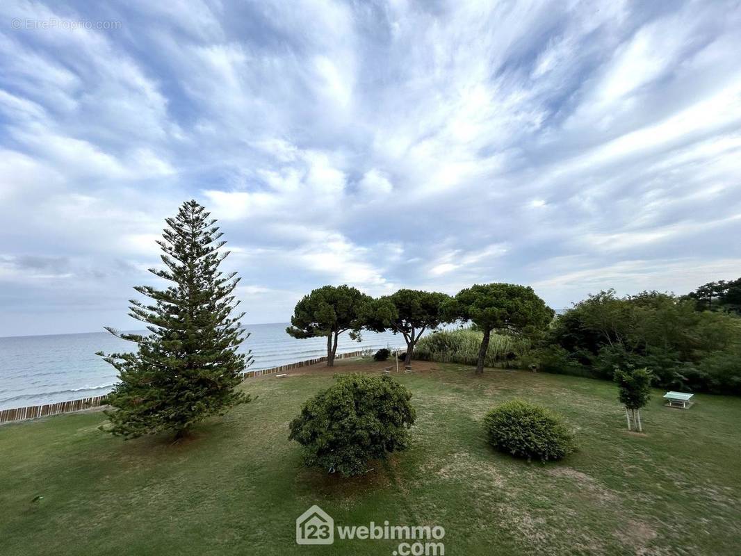 Parc et Méditerranée - Appartement à SAN-NICOLAO