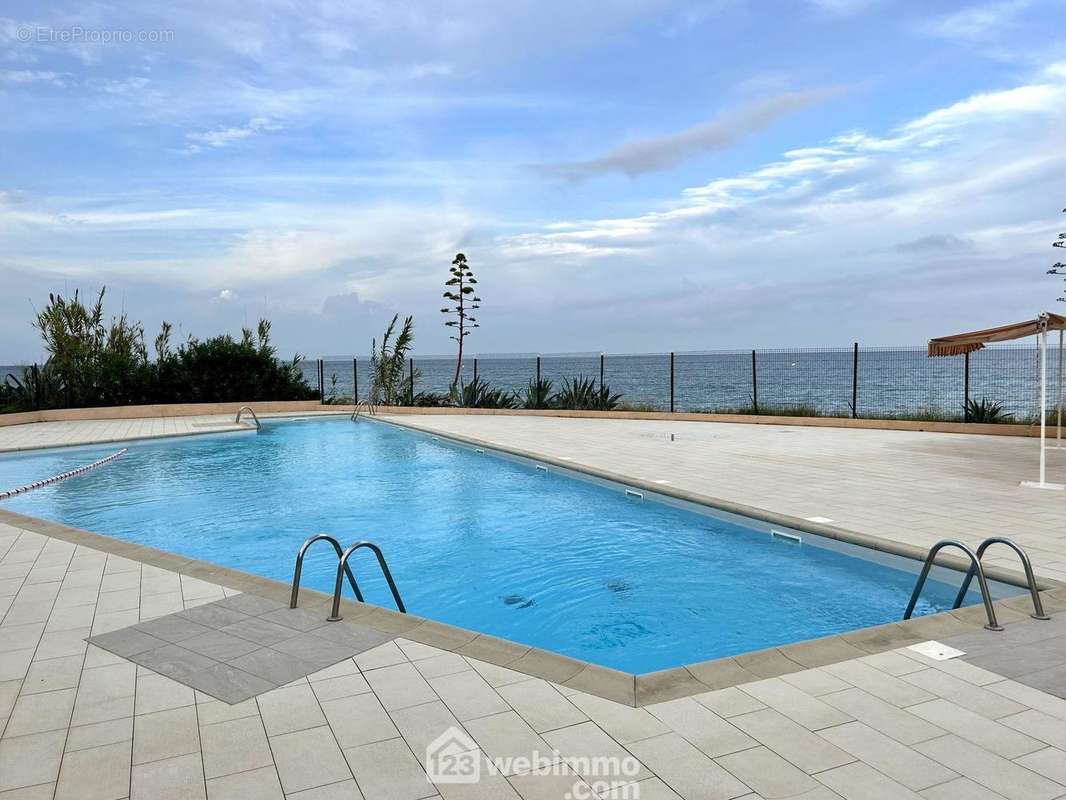 Piscine commune - Appartement à SAN-NICOLAO