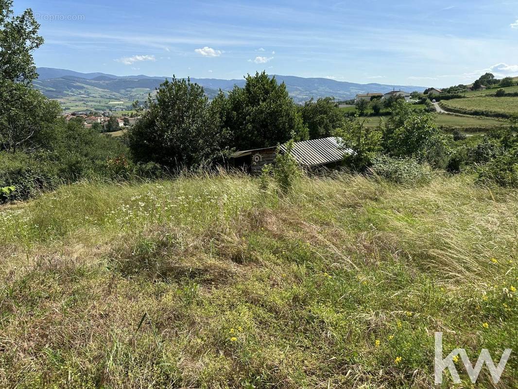 Terrain à CELLIEU