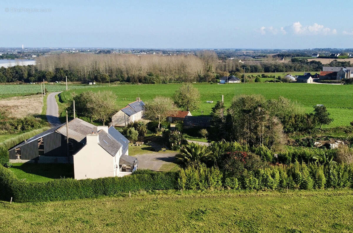 Maison à PLOUZEVEDE