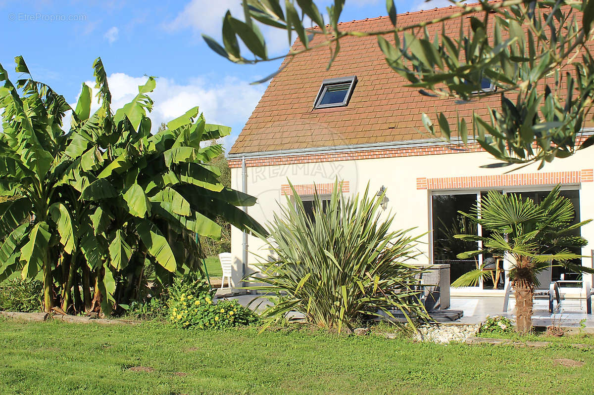 Maison à CHATEAUNEUF-SUR-LOIRE