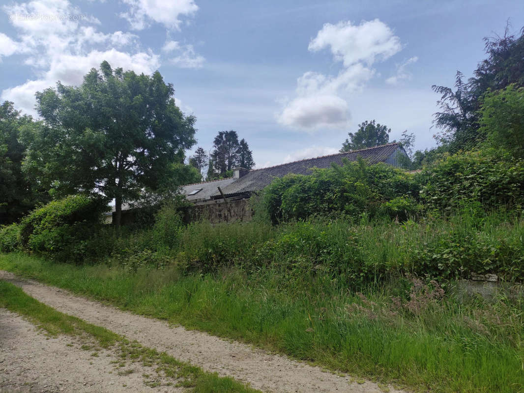 Vue du chemin - Maison à ROUDOUALLEC