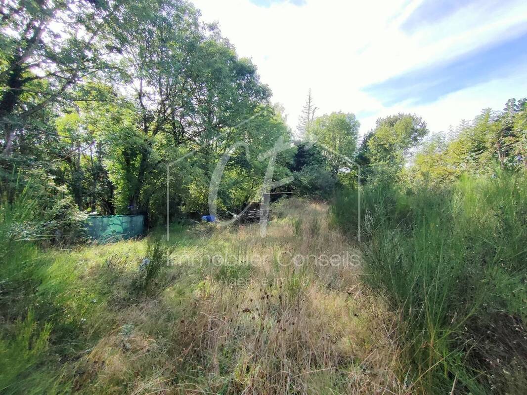 Terrain à PONT-DE-SALARS