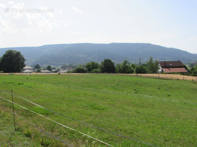 IMG_5089 - Terrain à DOMMARTIN-LES-REMIREMONT