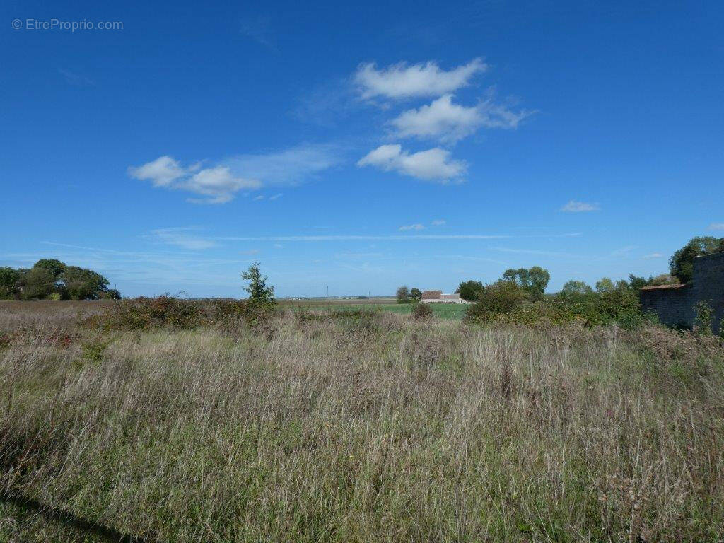 Terrain à VRIGNY