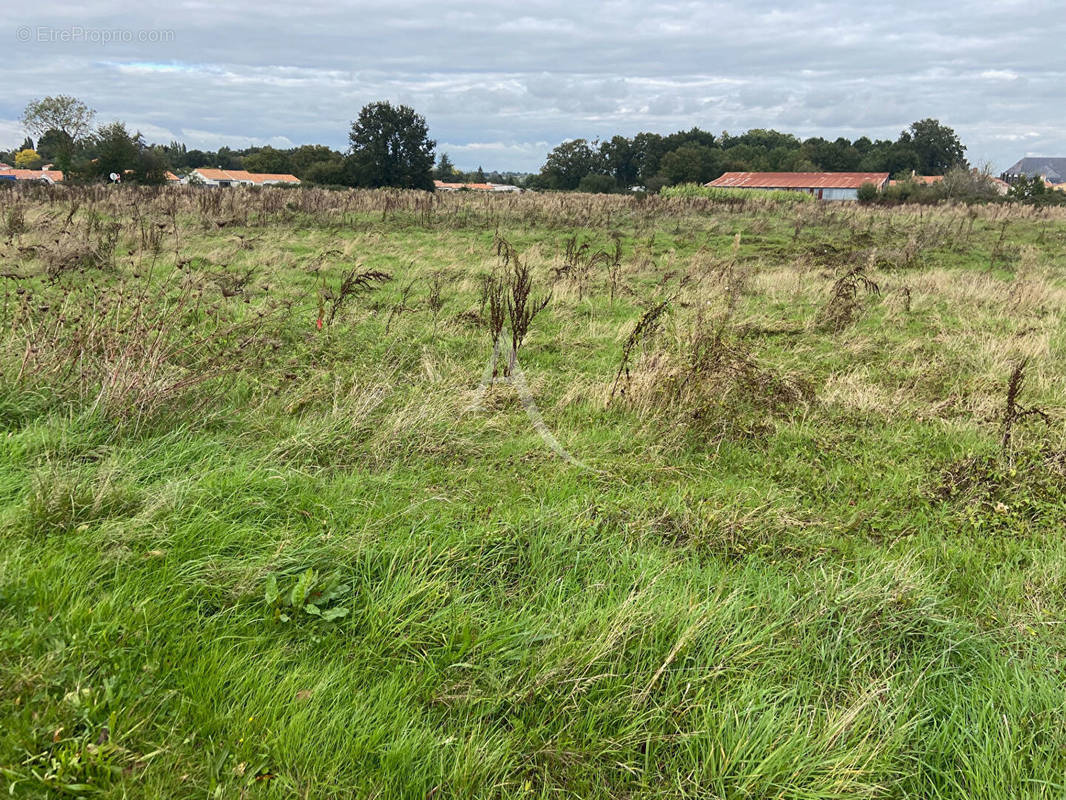 Terrain à CHAVAGNES-EN-PAILLERS