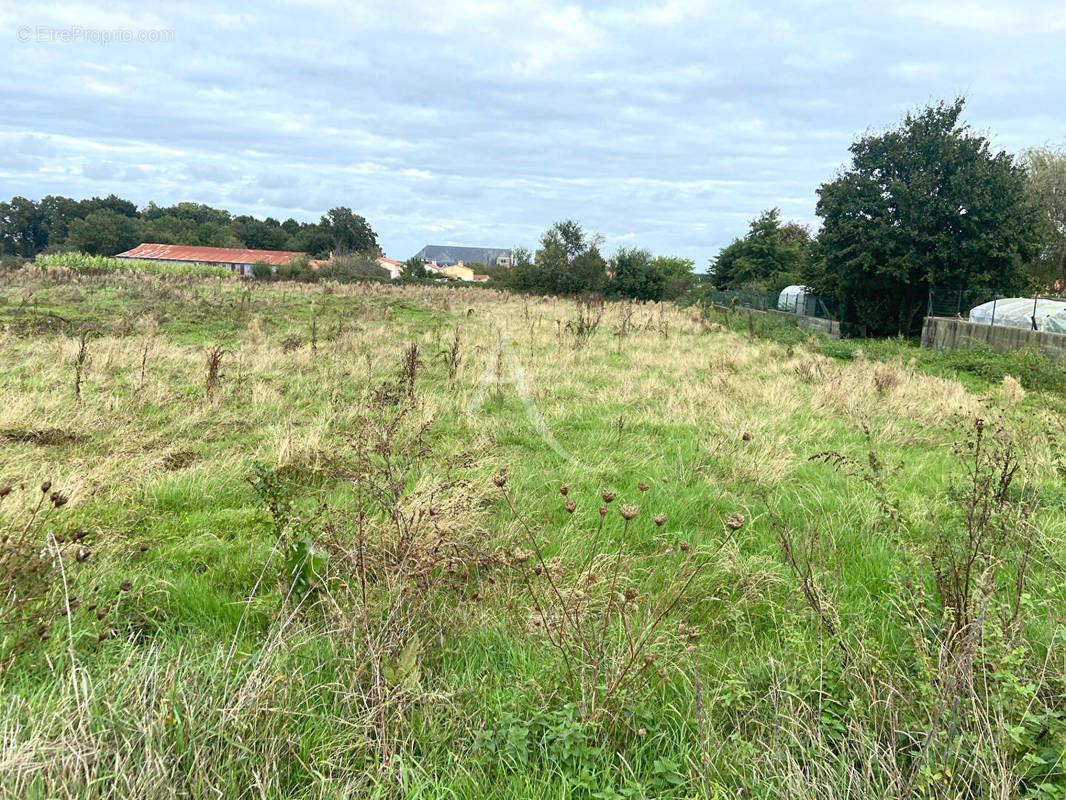 Terrain à CHAVAGNES-EN-PAILLERS