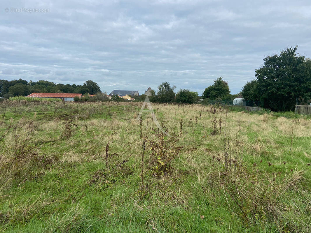 Terrain à CHAVAGNES-EN-PAILLERS