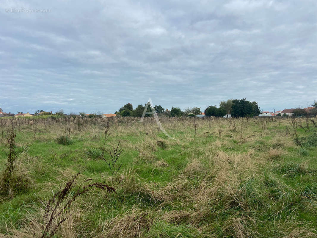 Terrain à CHAVAGNES-EN-PAILLERS