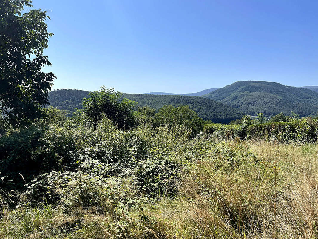 Terrain à HEILIGENBERG