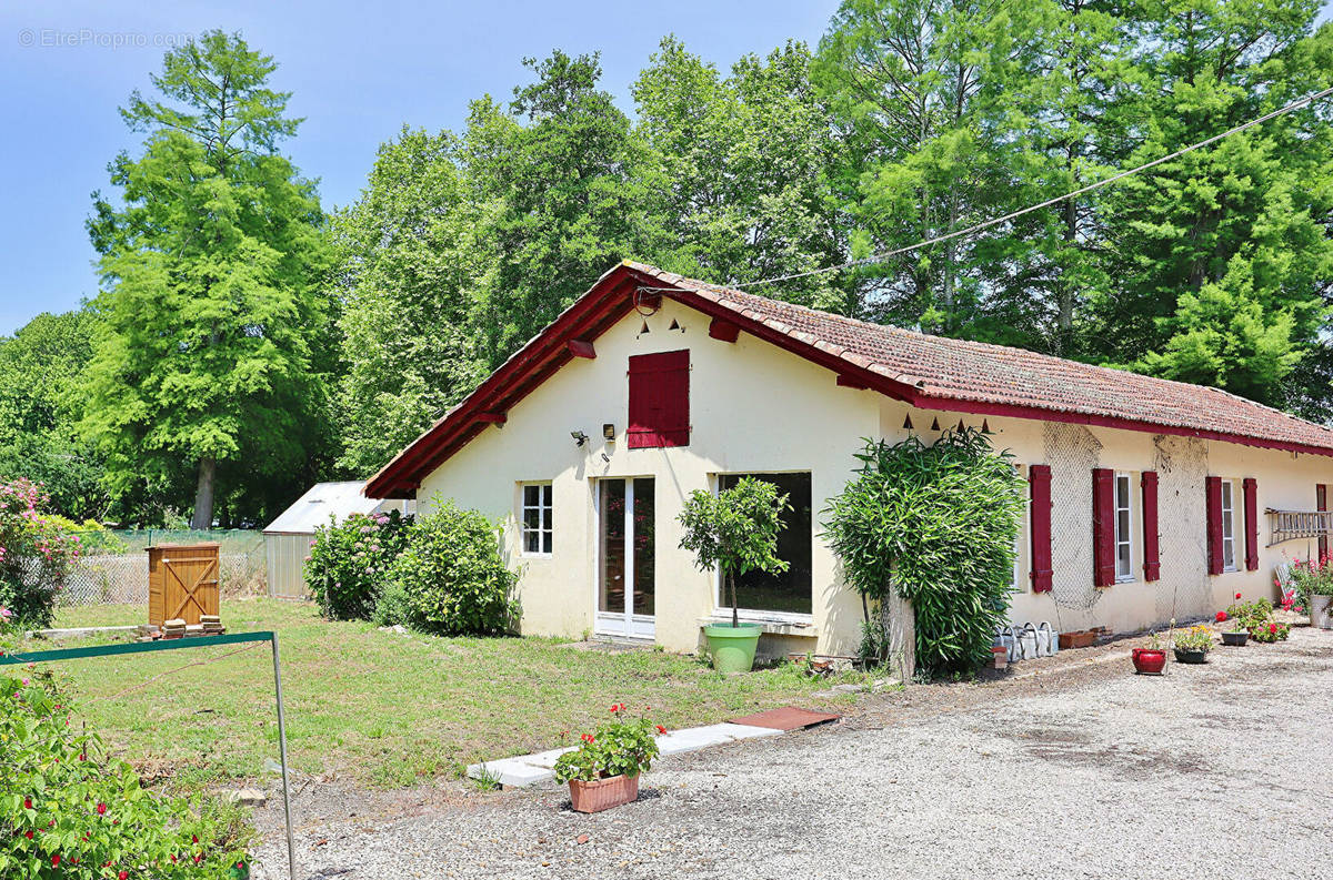 Maison à SOUSTONS