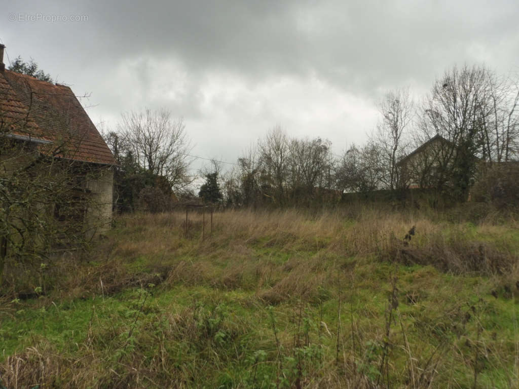 Maison à BETTVILLER