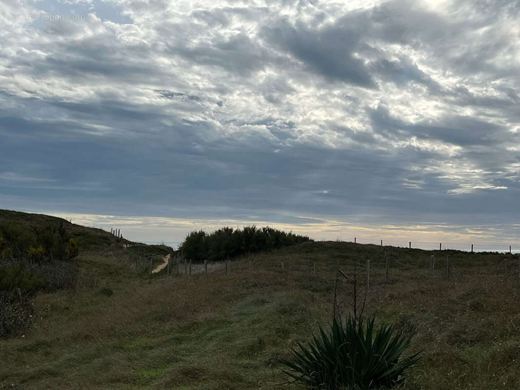 Terrain à SAINT-DENIS-D&#039;OLERON