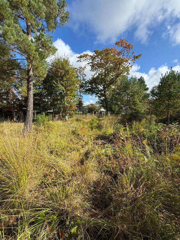 Terrain à SAINT-JEAN-D&#039;ILLAC