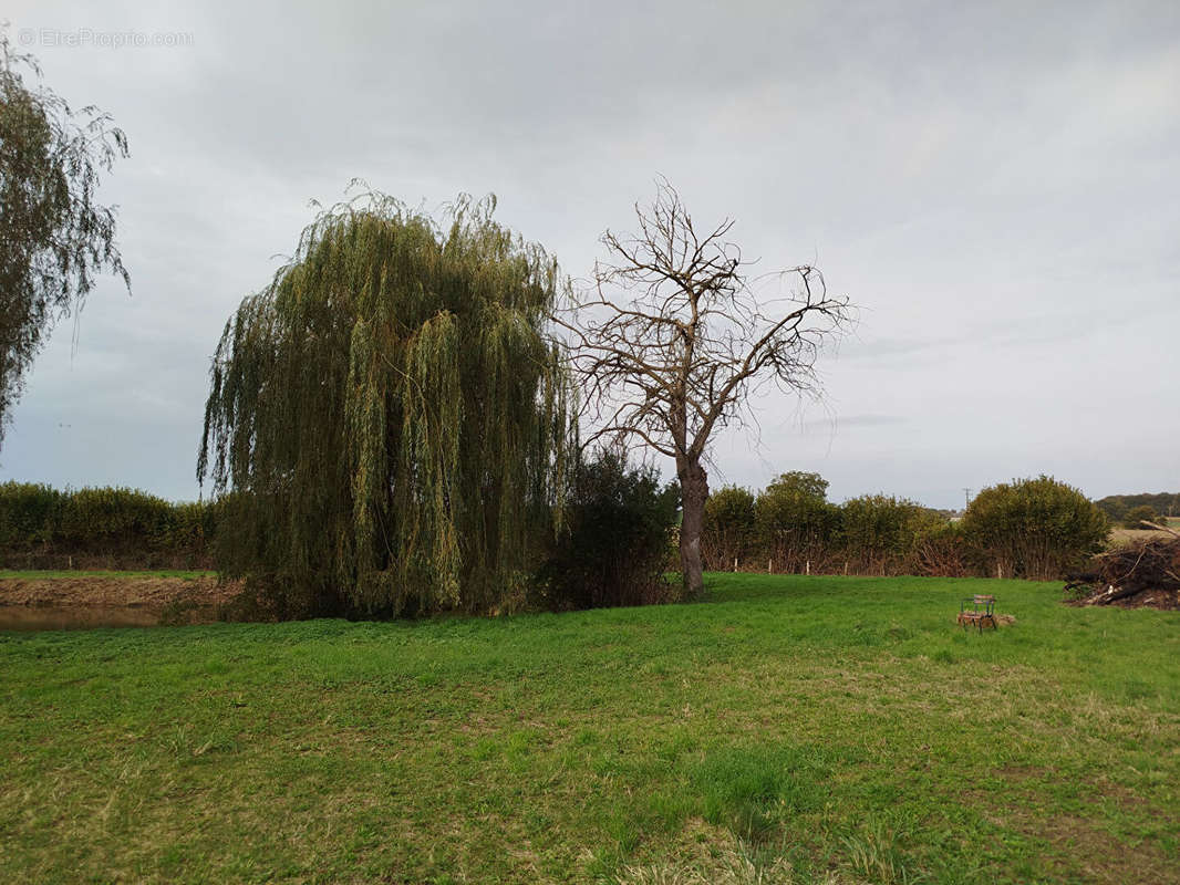 Terrain à LAVARE