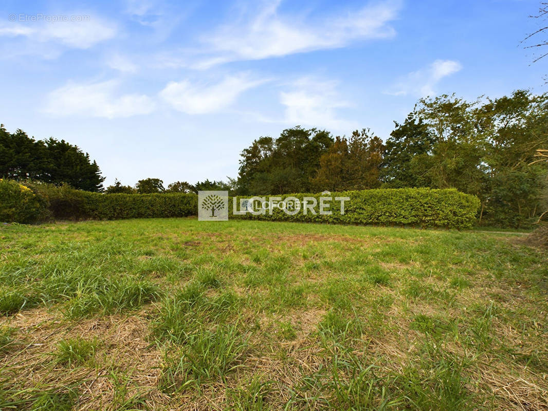 Terrain à LOCTUDY