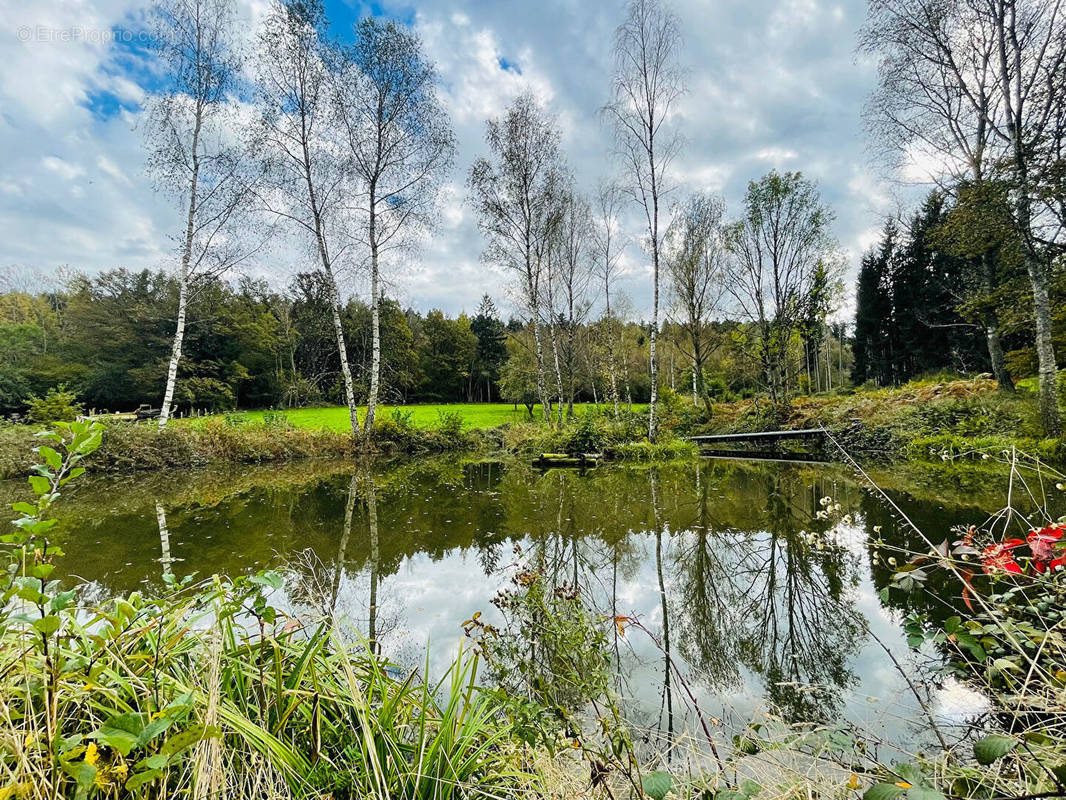 Terrain à SAULCY-SUR-MEURTHE